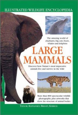 Large mammals