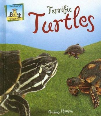 Terrific turtles