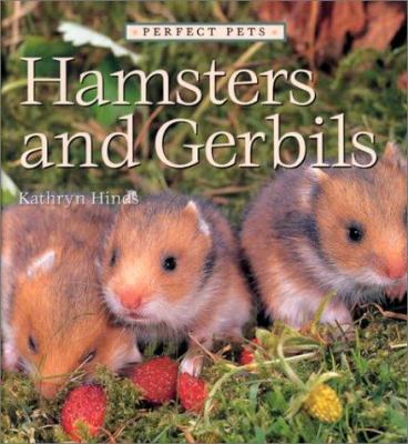 Hamsters and gerbils