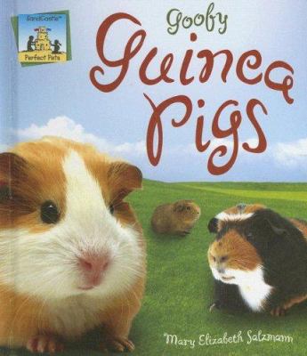 Goofy guinea pigs