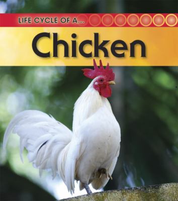 Life cycle of a-- chicken