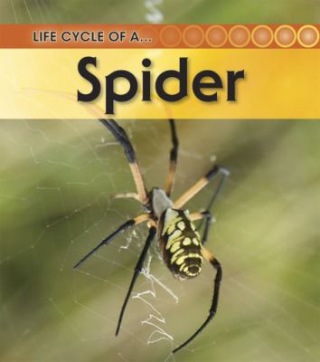 Life cycle of a-- spider