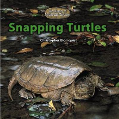 Snapping turtles