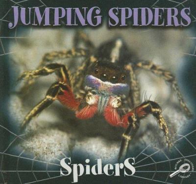 Jumping spiders