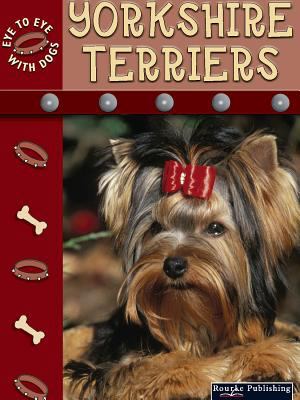 Yorkshire terriers