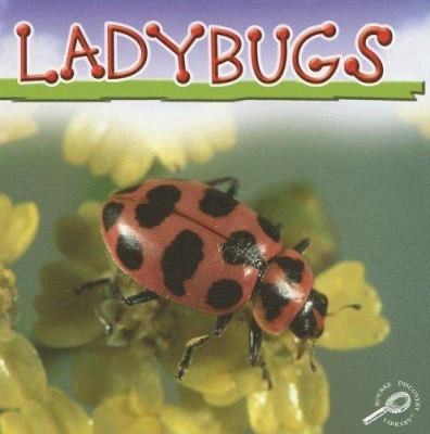 Ladybugs