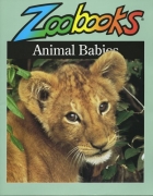 Animal babies