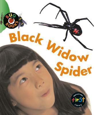 Black widow spider