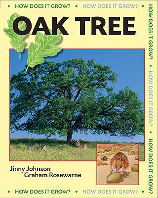 Oak tree