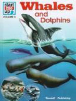 Whales and dolphins