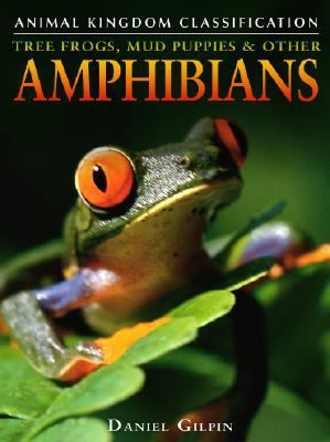 Tree frogs, mud puppies, & other amphibians