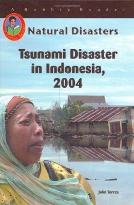 Tsunami disaster in Indonesia, 2004