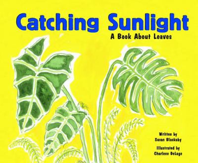 Catching sunlight : a book about leaves