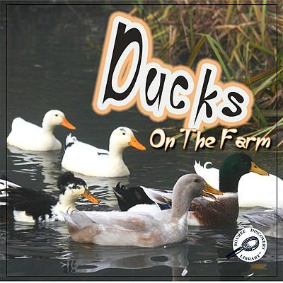 Ducks on the farm