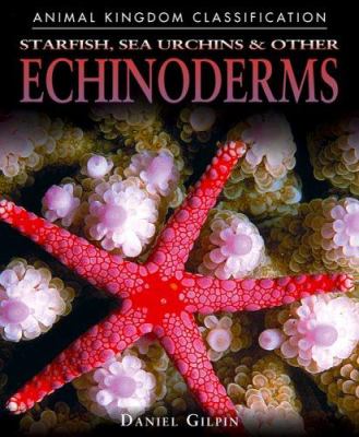 Starfish, urchins & other echinoderms