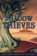The shadow thieves