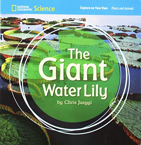 The giant water lily