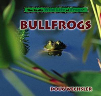 Bullfrogs