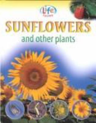 Sunflowers and other plants
