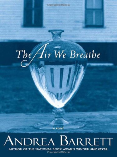 The air we breathe : a novel