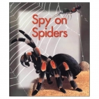 Spy on spiders