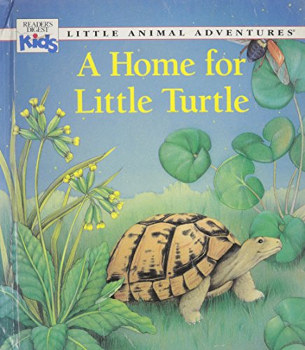 A home for little turtle