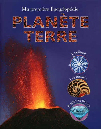 Plante terre