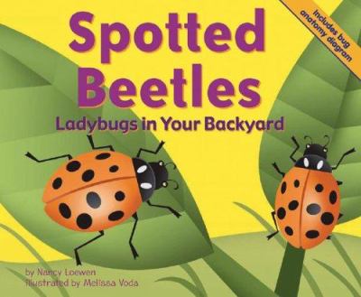 Spotted beetles : ladybugs in your backyard