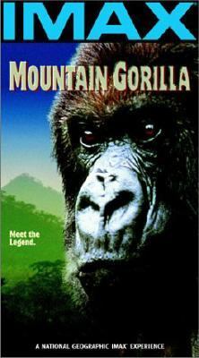 Mountain gorilla