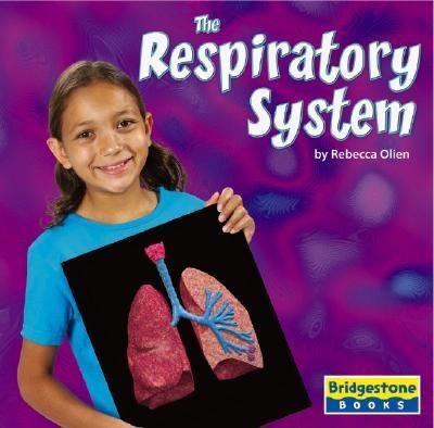 The respiratory system