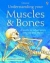 Understanding your muscles & bones