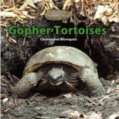 Gopher tortoises