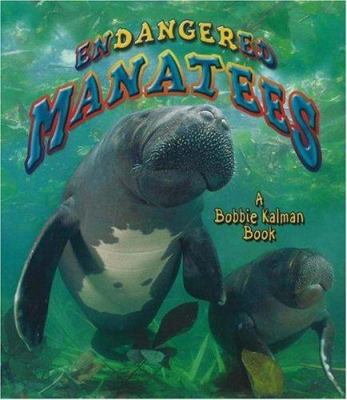 Endangered manatees