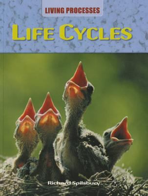 Life cycles