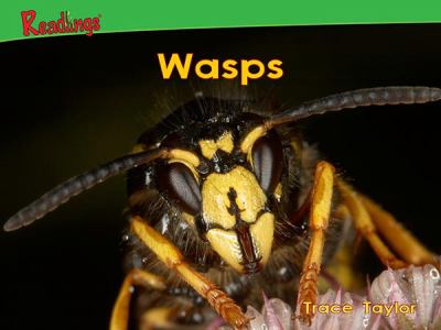 Wasps