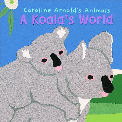A koala's world