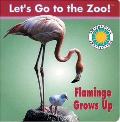Flamingo grows up