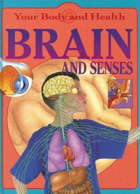 Brain and senses