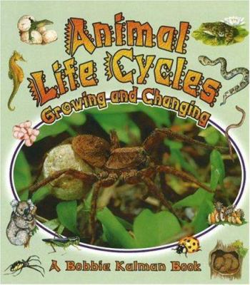 Animal life cycles : growing and changing