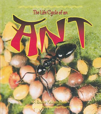 The life cycle of an ant