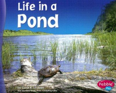 Life in a pond