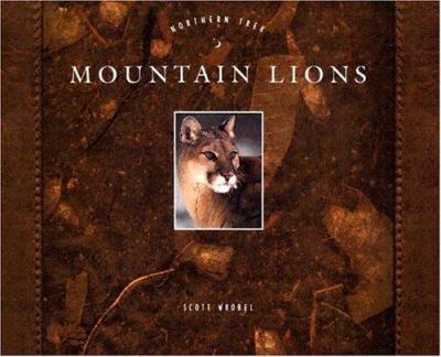 Mountain lions