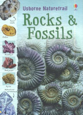 Rocks & fossils