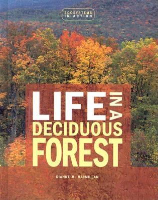 Life in a deciduous forest