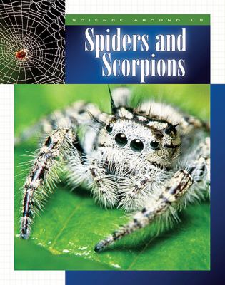 Spiders and scorpions