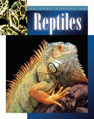 Reptiles