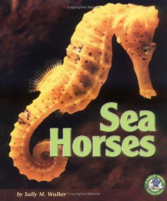 Sea horses