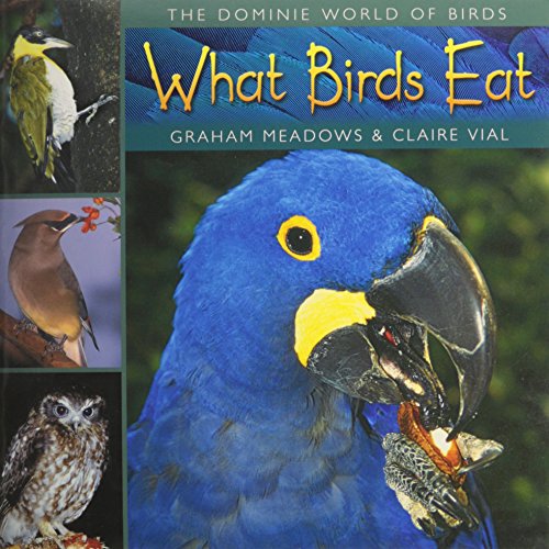 What birds eat