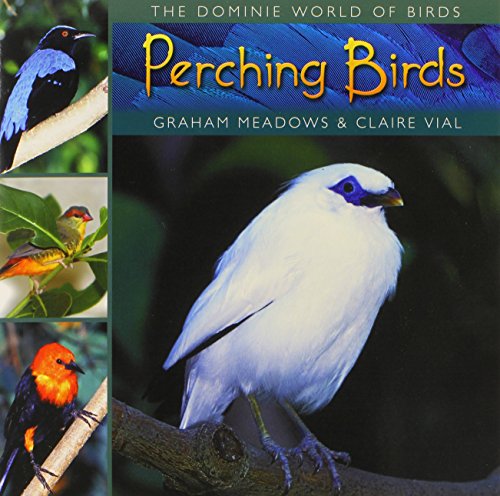 Perching birds