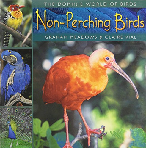 Non-perching birds